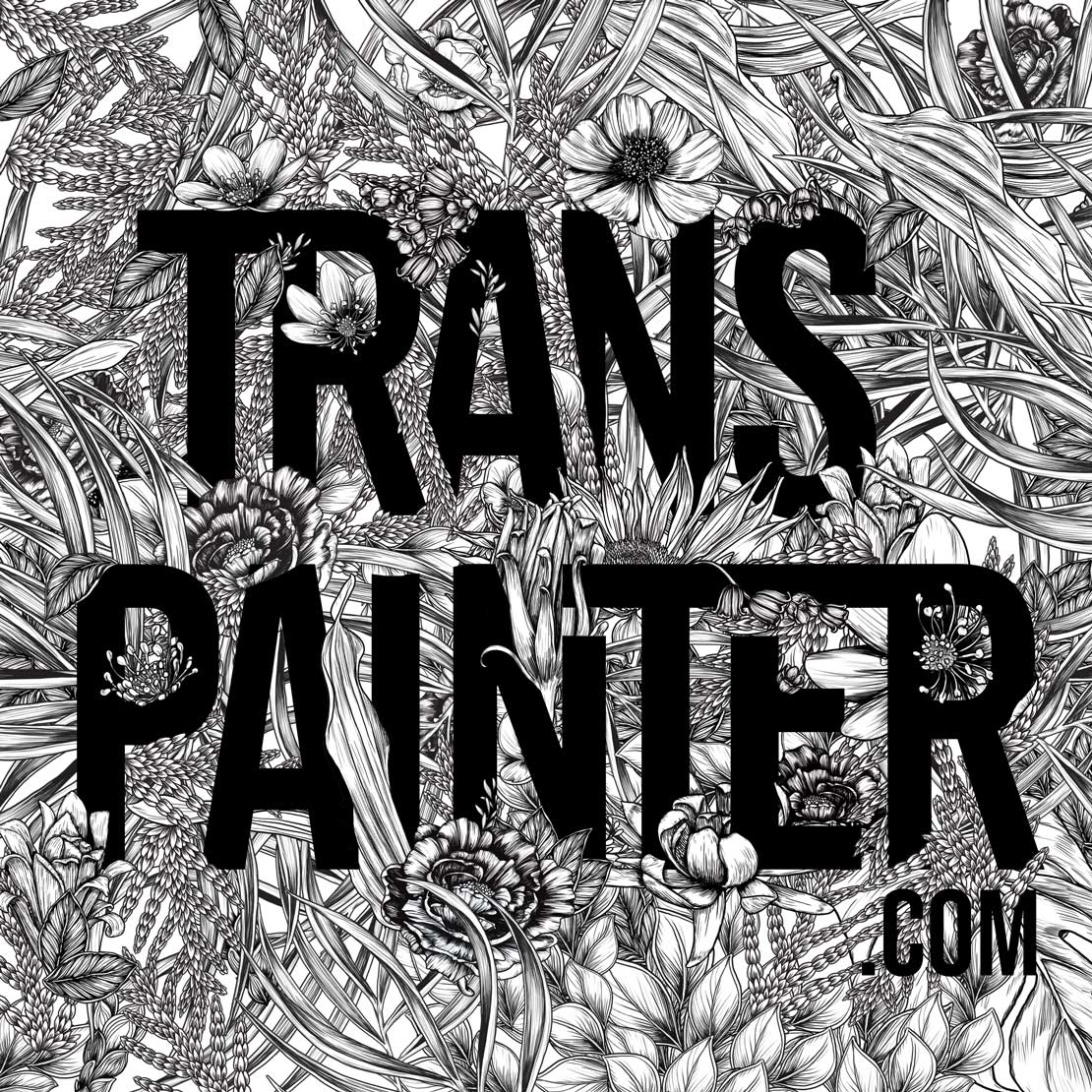 Team Transpainter User Profile