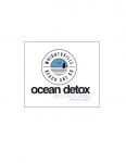 Jazzy Boy Art Co./Ocean Detox Art Program