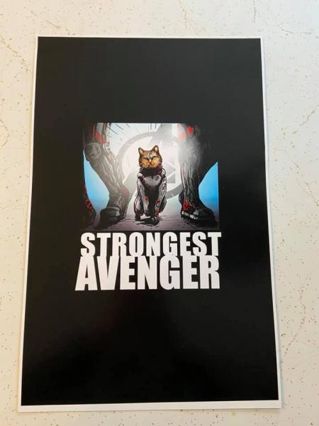 Strongest Avenger 11" x 17" Glossy Print picture