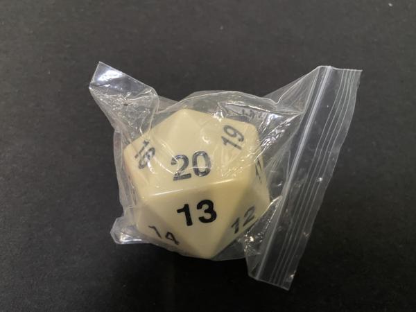 Large Solid D20 Dice (White) picture