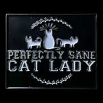 Perfectly Sane Cat Lady Pin