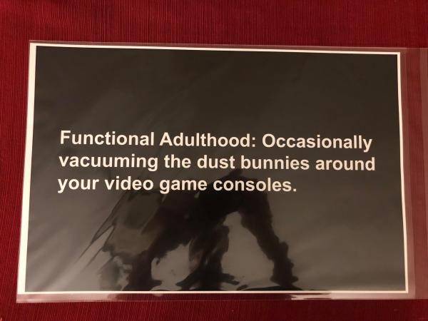 Functional Adulthood, Dust Bunnies, and Video Game Consoles 11" x 17" Print picture