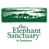 The Elephant Sanctuary  in Tennessee