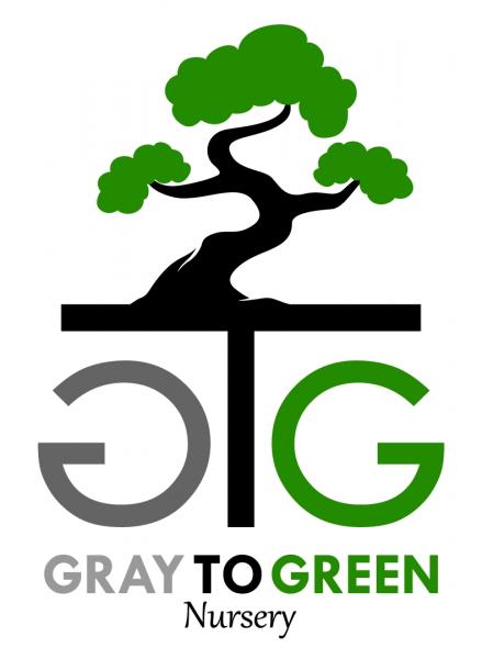 Gray to Green Nursery