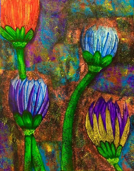 Uncovering the Gardens that We Lost by Kathy de Cano