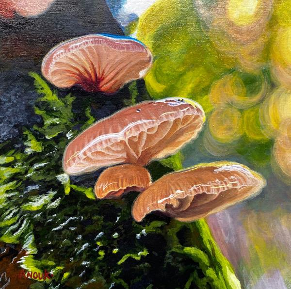 Mushrooms III