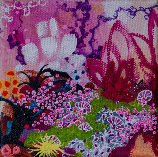 Reef Violet III