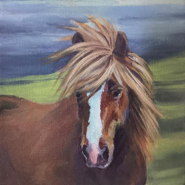 Horse Of A Different Colour II
