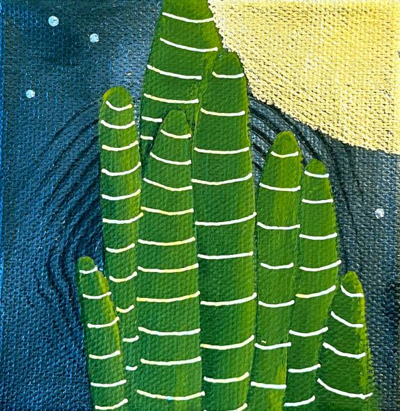 Cacti II