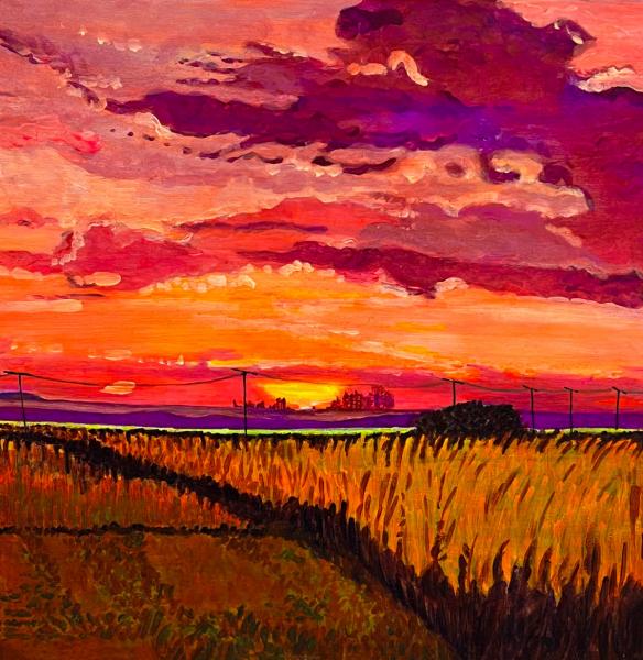 Harvest Sunset picture