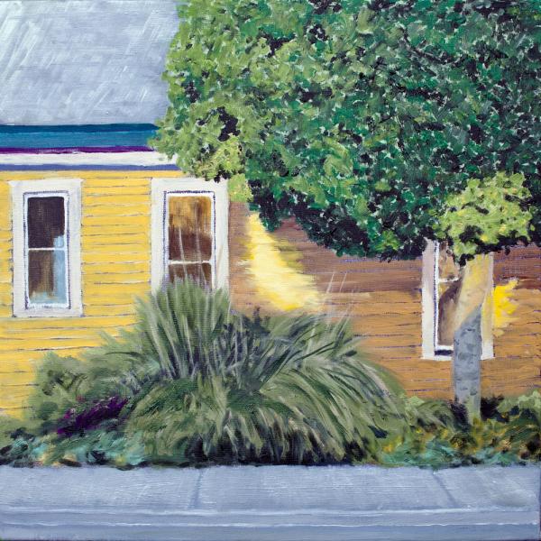 The Yellow House James Bay picture