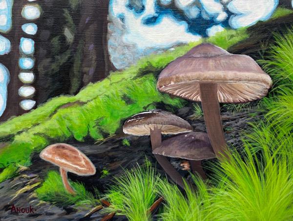 Mushrooms I
