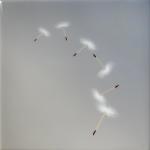 Wishes On A Grey Sky