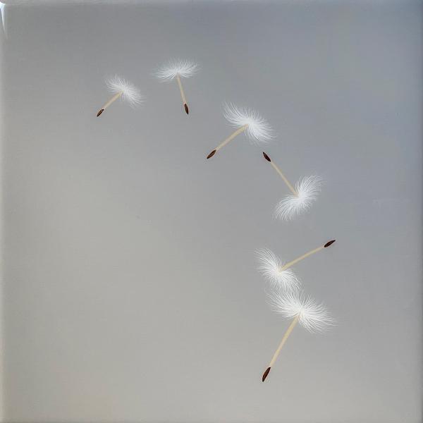 Wishes On A Grey Sky