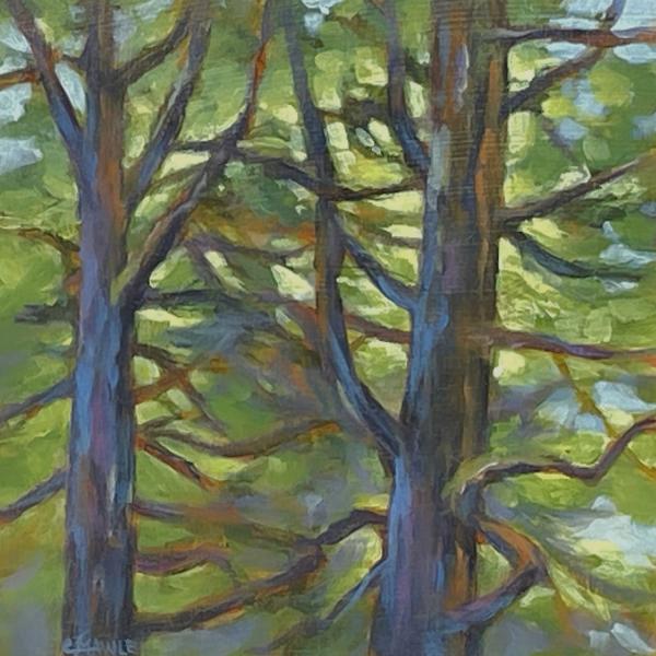 Edge Of The Forest II