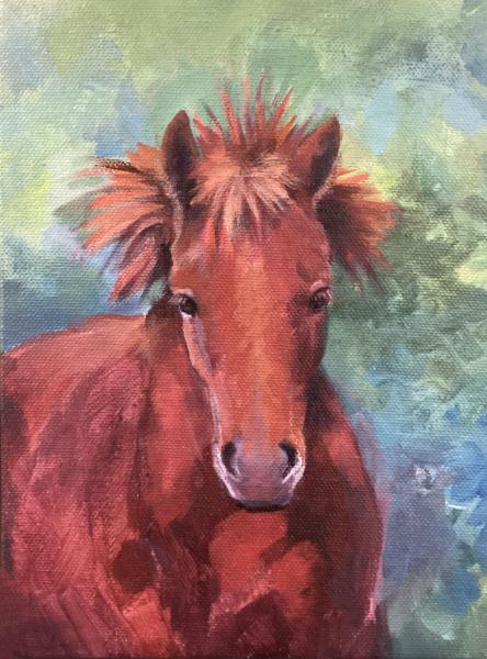 Horse Of A Different Colour IV