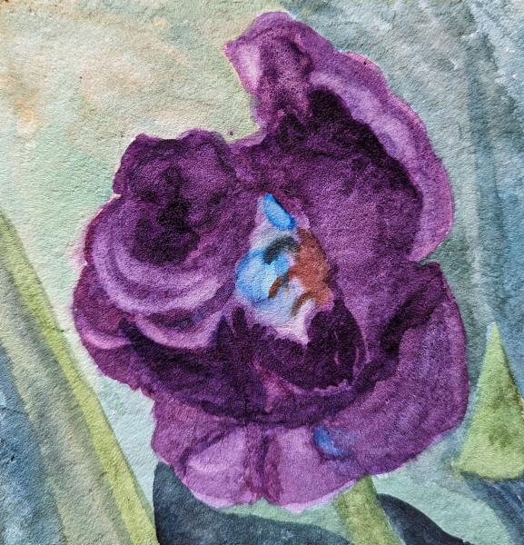 Tulips I