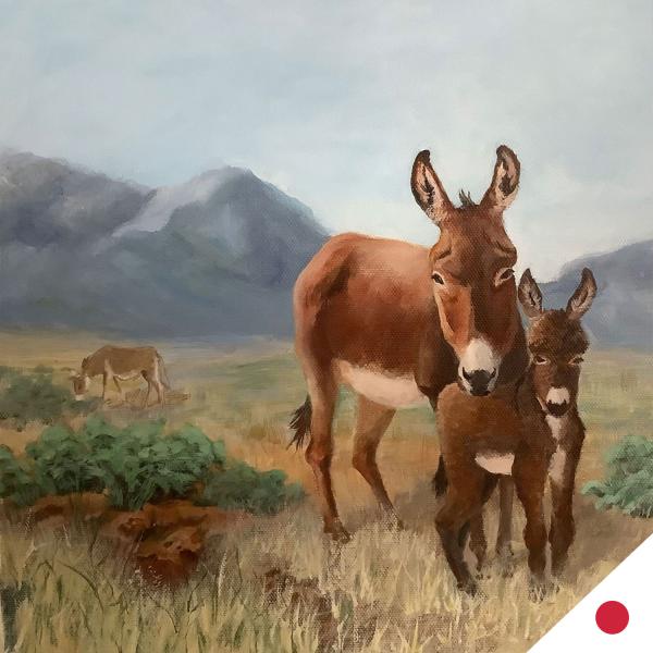 Desert Burros picture