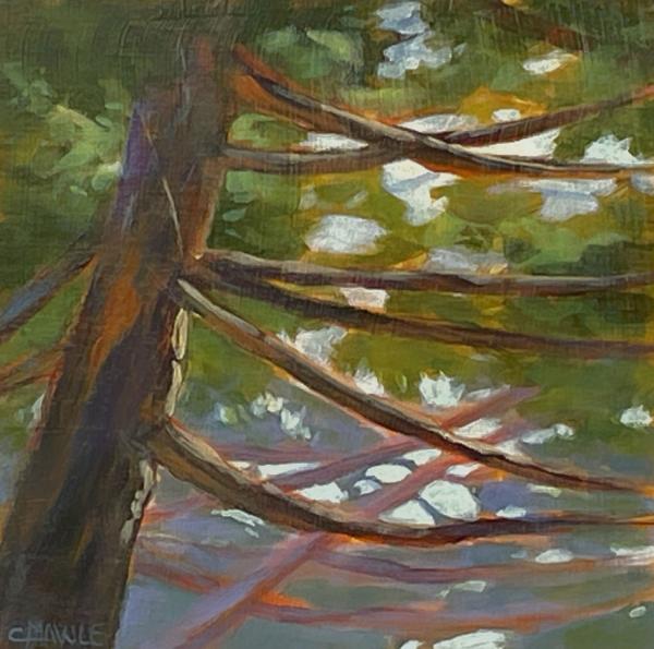 Edge Of The Forest I