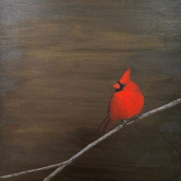 Cardinal On A Thin Branch