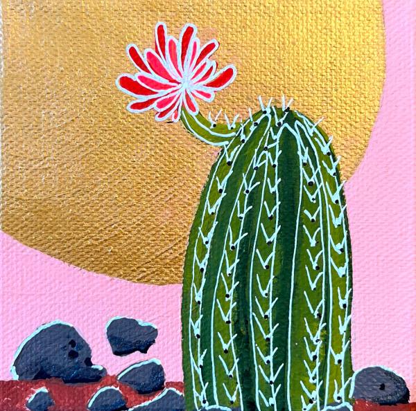 Cacti III