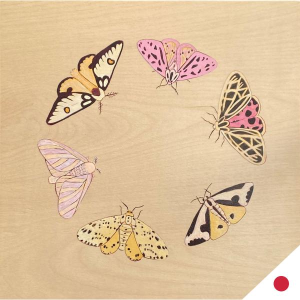 Meeting Of The Moths