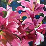 Stargazer I