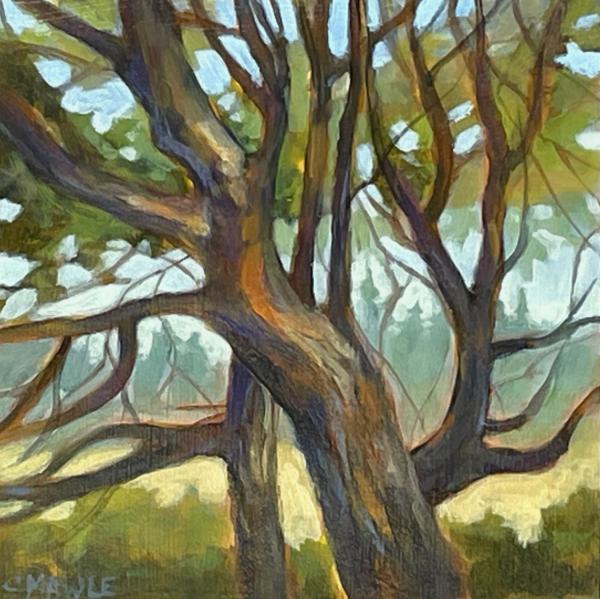Edge Of The Forest IV