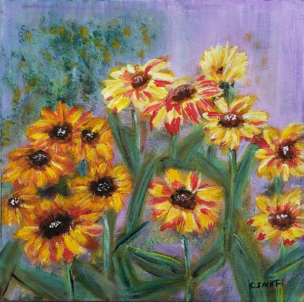 Summer Glory