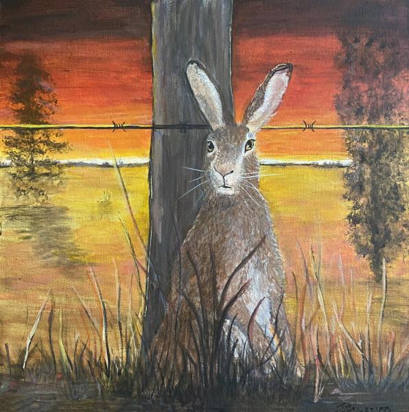 Hare Today