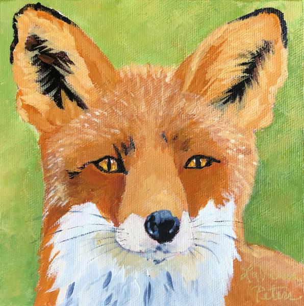 Toffee the Red Fox I