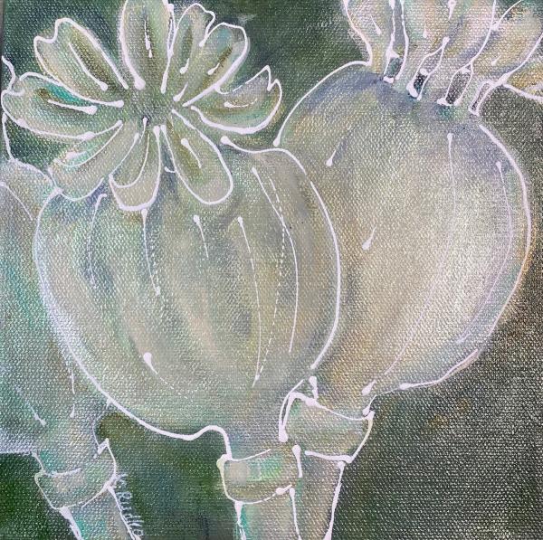 Poppy Pods