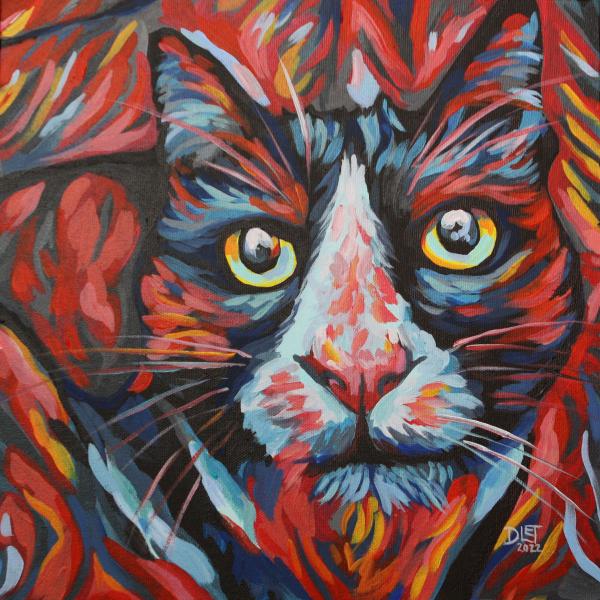 Cats Meow