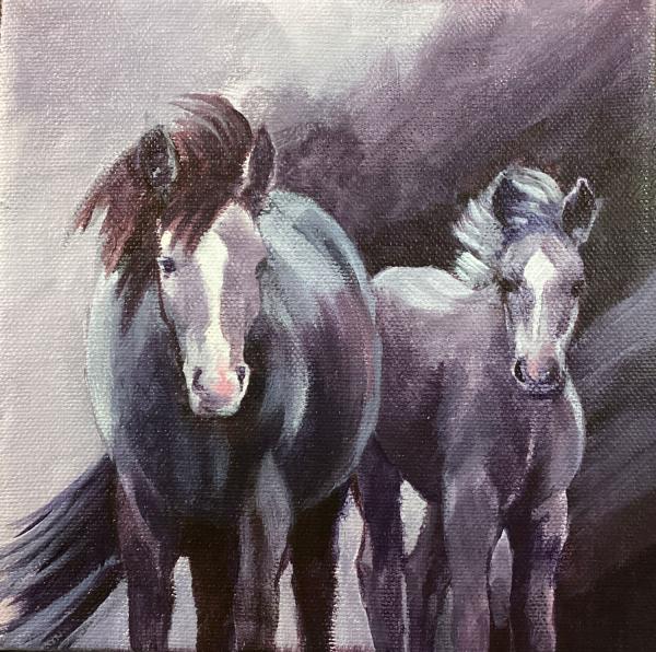 Horse Of A Different Colour I