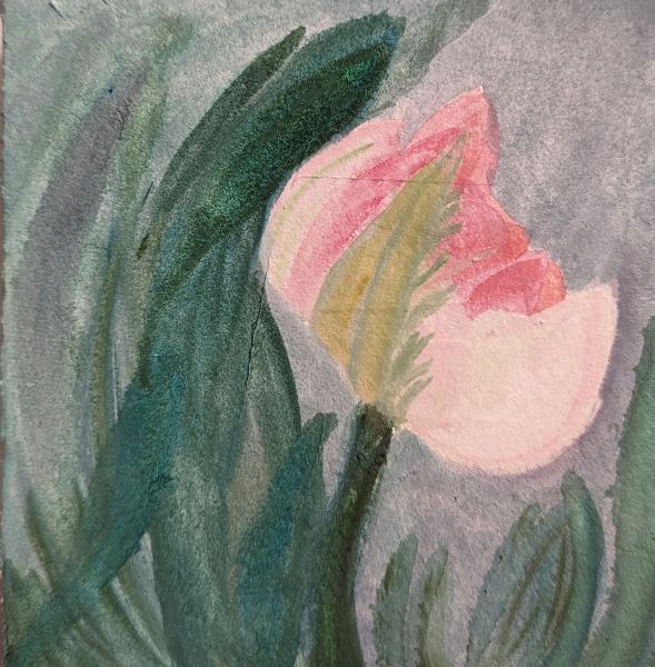 Tulips III