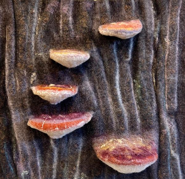 Felted Fungus picture