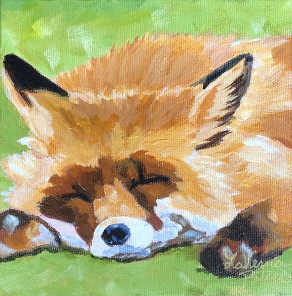 Toffee the Red Fox II