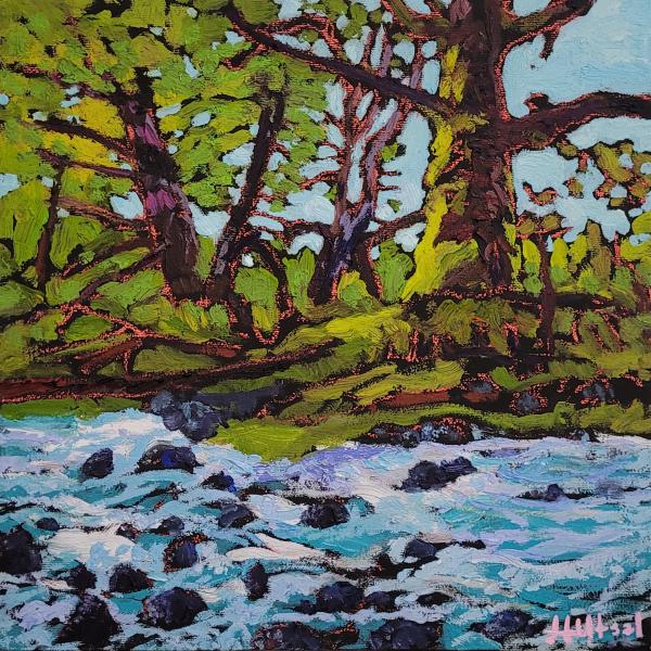 Mossy Rivers Edge