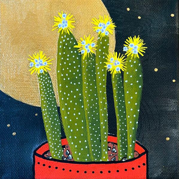 Cacti VI