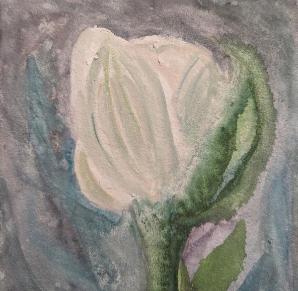 Tulips II