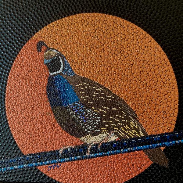 Copper Moon Quail picture