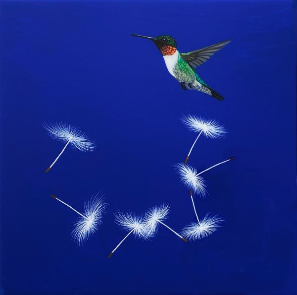 Hummingbird Flight On Blue