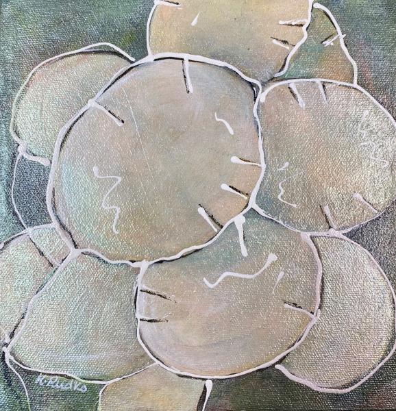 Money Plant