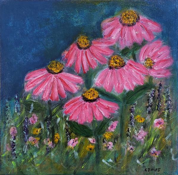 Cone Flowers