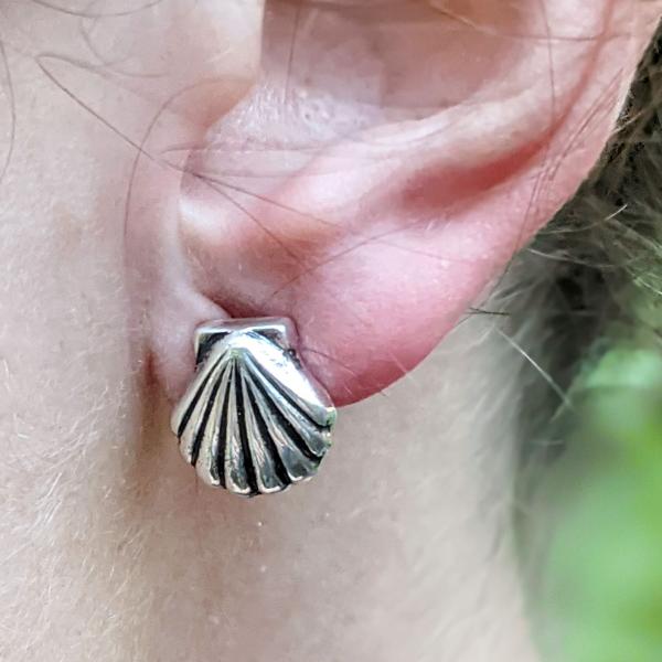Small Seashell Post Earrings picture