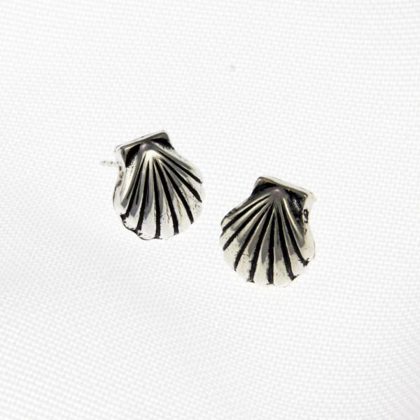 Small Seashell Post Earrings