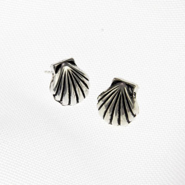 Small Seashell Post Earrings picture