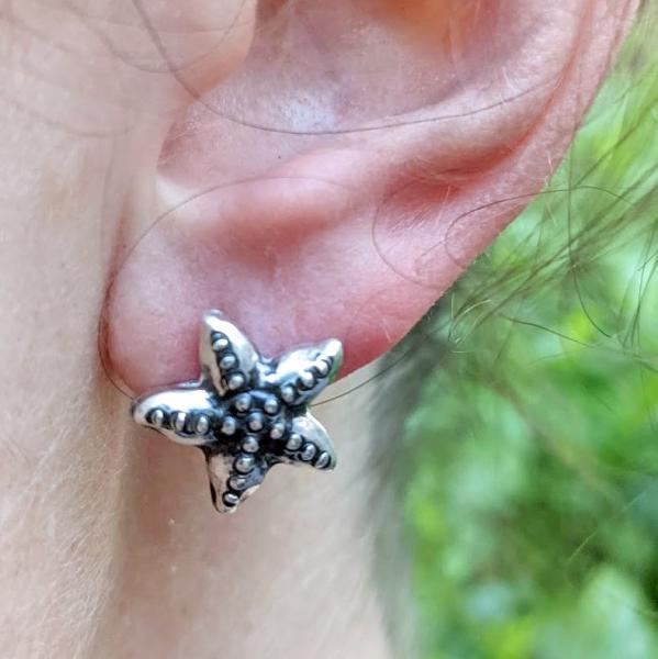 Starfish Post Earrings picture