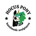 Hocus Pony