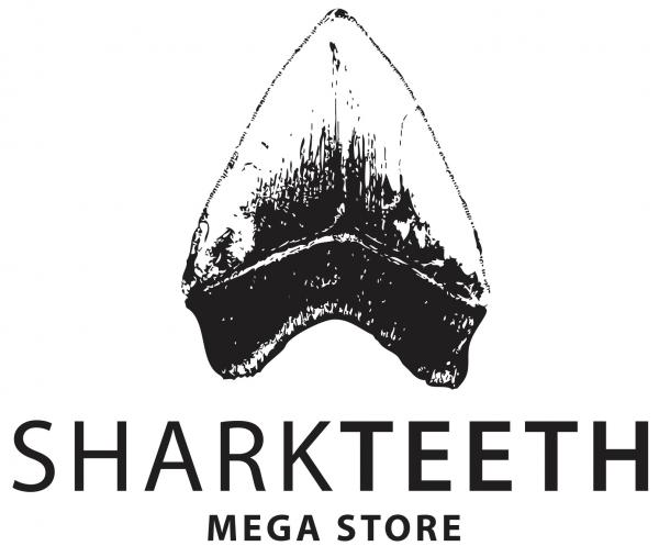 Shark Teeth Mega Store